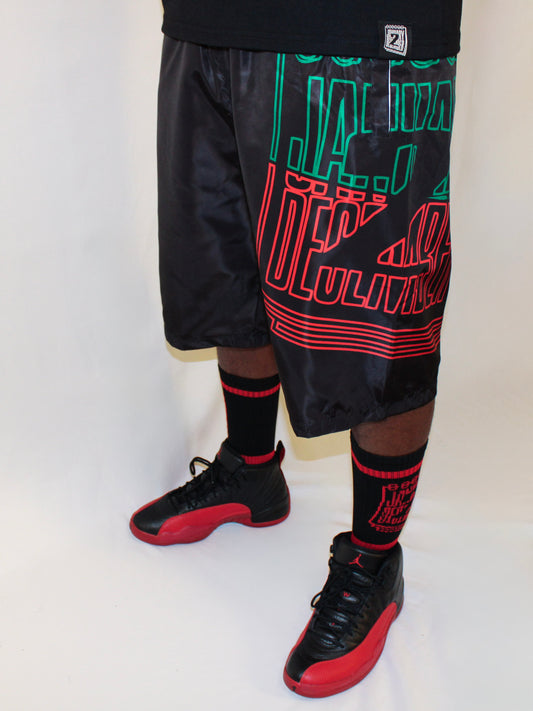 J2D "Juneteenth" Nylon Shorts