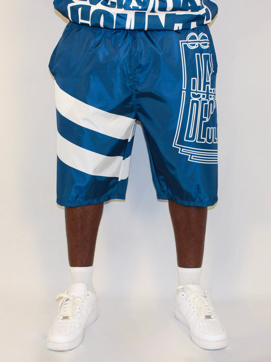 J2D "French Blue" Blue/White Nylon Shorts